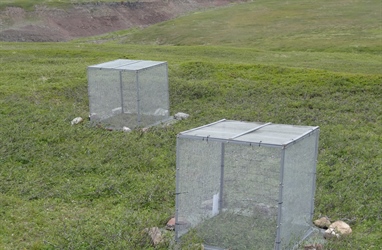 New small rodent exclosures by COAT Varanger